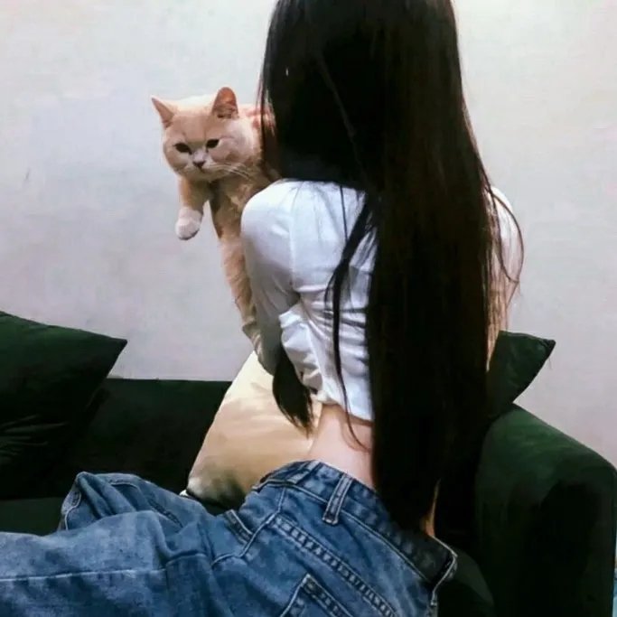 宝藏猎人
